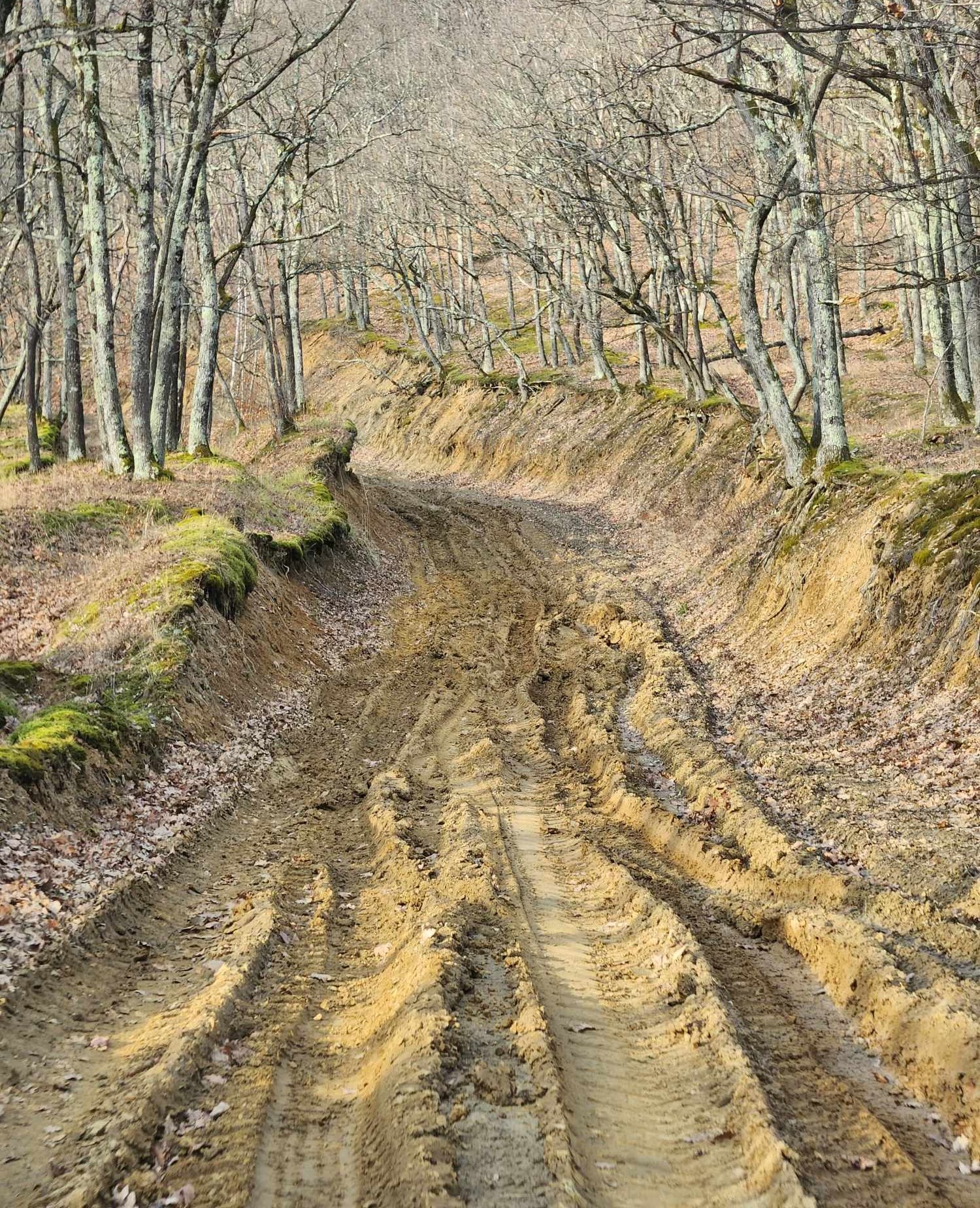 Reporter pur si simplu